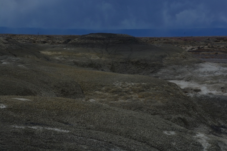 bisti wilderness